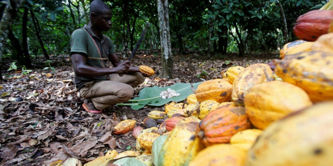 EU to Ghana, Côte d’Ivoire: Accelerate cocoa reforms or risk market losses